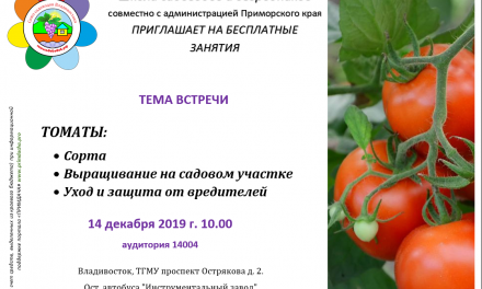 Школа Садоводов: Томаты,выращивание на садовом участке