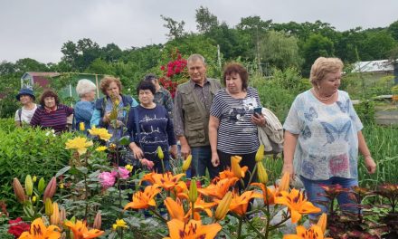 Школа садоводов Владивостока: вырастить урожай и пообщаться с единомышленниками