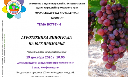 Школа Садоводов: Агротехника винограда на юге Приморского края