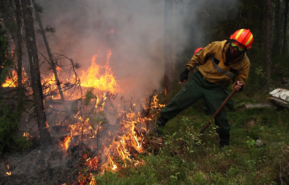 Пожарная безопасность прилегающих лесов, ложится на плечи собственников земельных участков