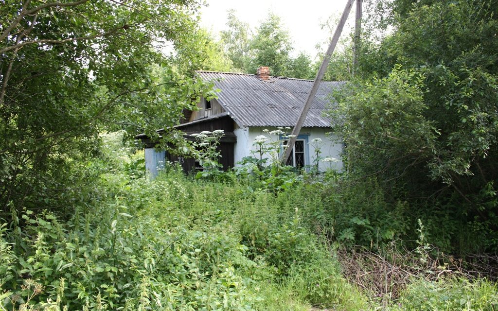 Минюст России, как вернуть бесхозный участок в садоводческое товарищество