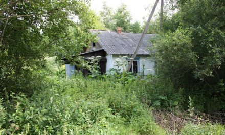 Минюст России, как вернуть бесхозный участок в садоводческое товарищество